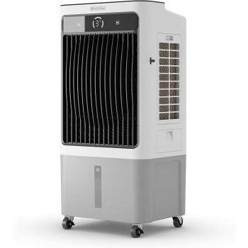 OLIMPIA SPLENDID PELER 40